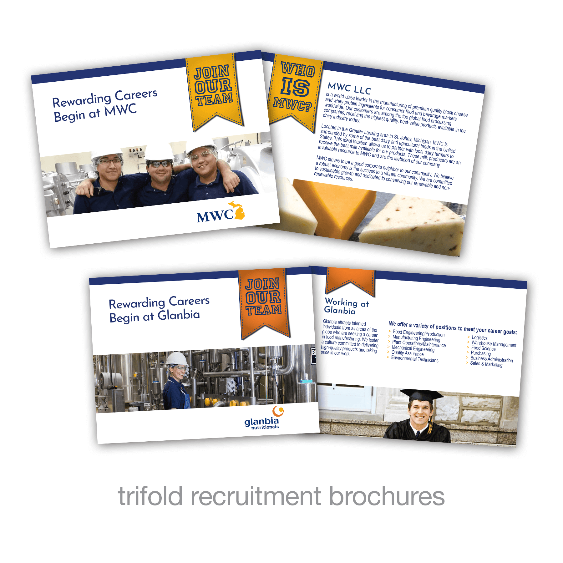 “Rewarding Careers” Recruitment Literature for Glanbia Nutritionals and MWC to use at job fairs.