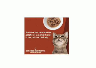Sethness Roquette interactive 3d cube banner