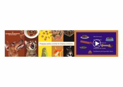 Sethness Roquette embedded video banner